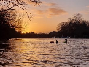 Two swimmers with reindeer antlers at sunrise in the river in winter.