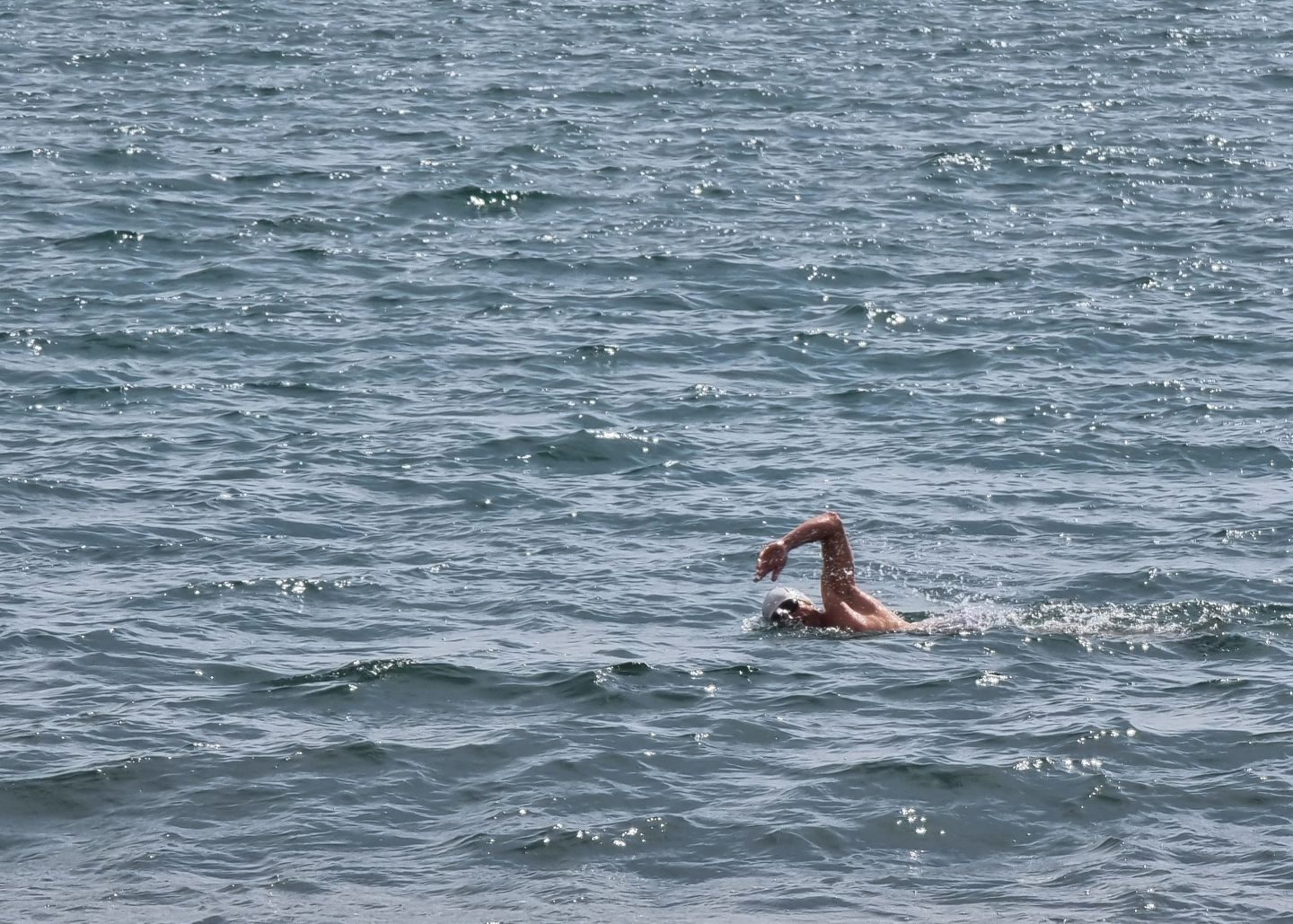 Brighton swim