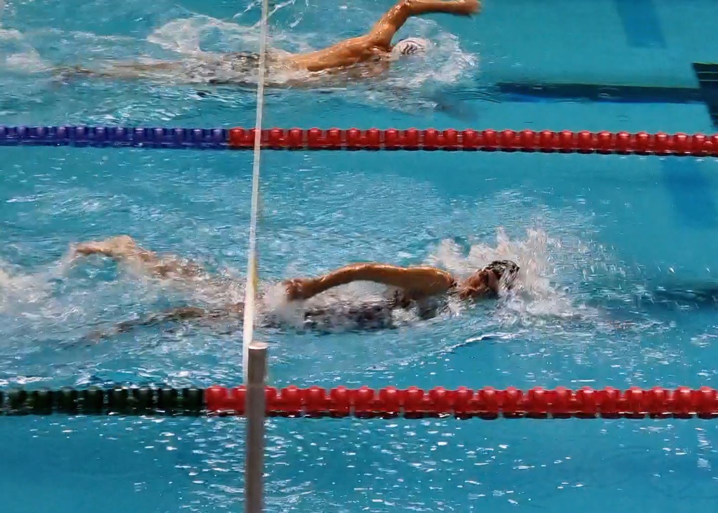 Swimmers sprinting in a pool