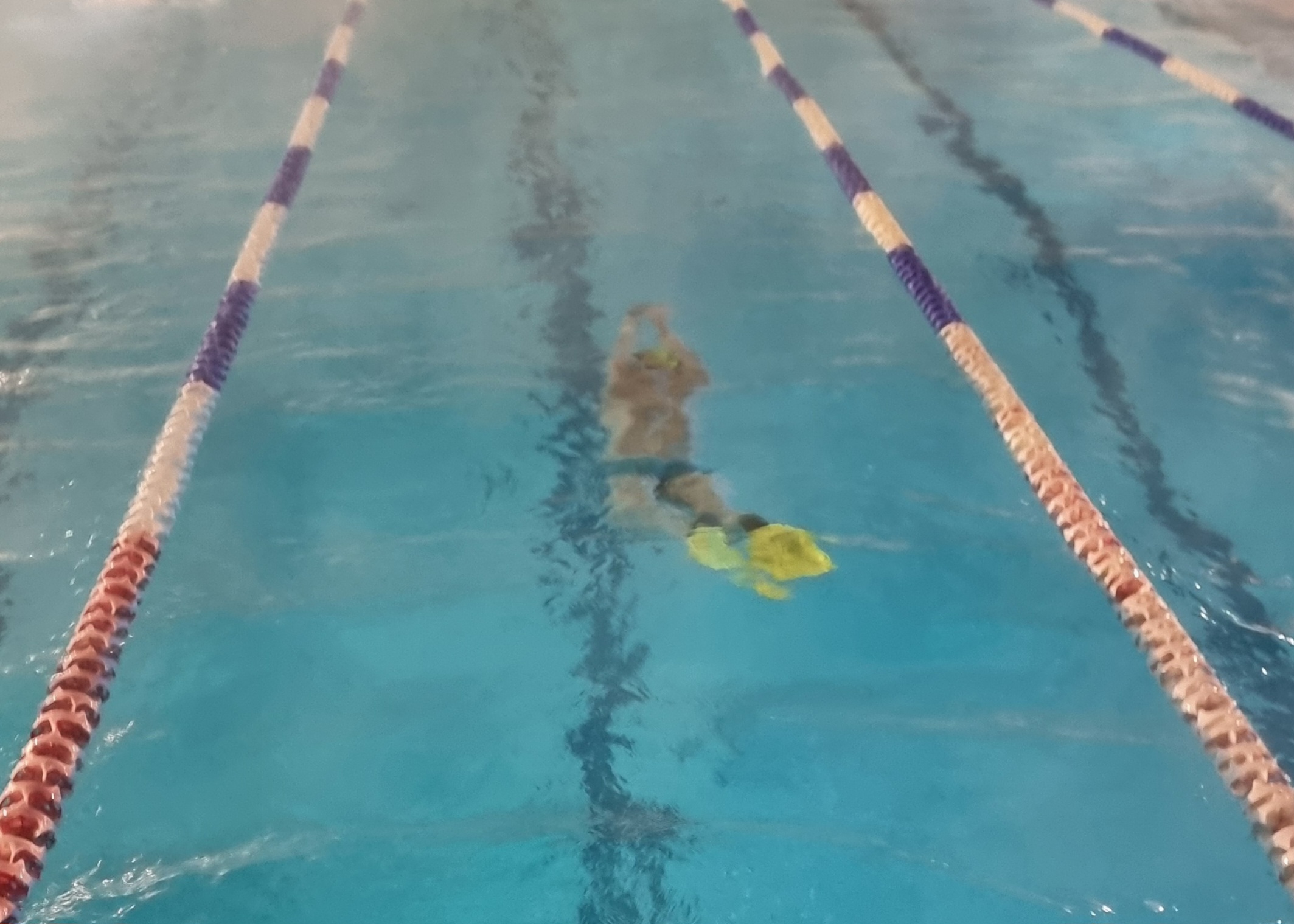Underwater dolphin kicking with fins
