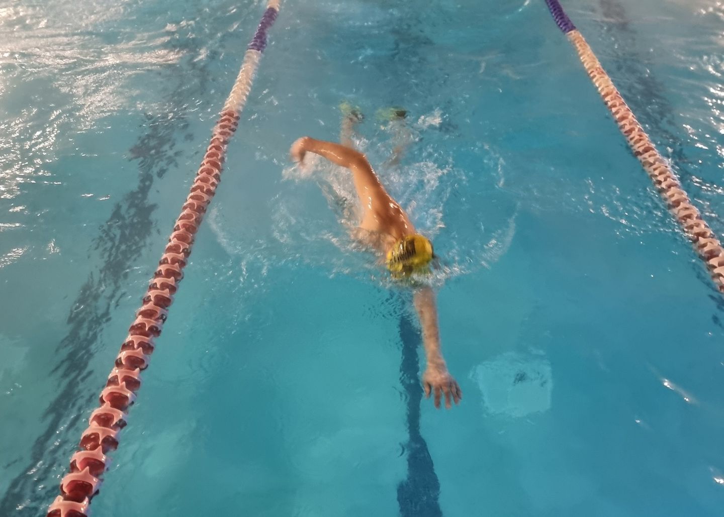 Pool training 2 cropped