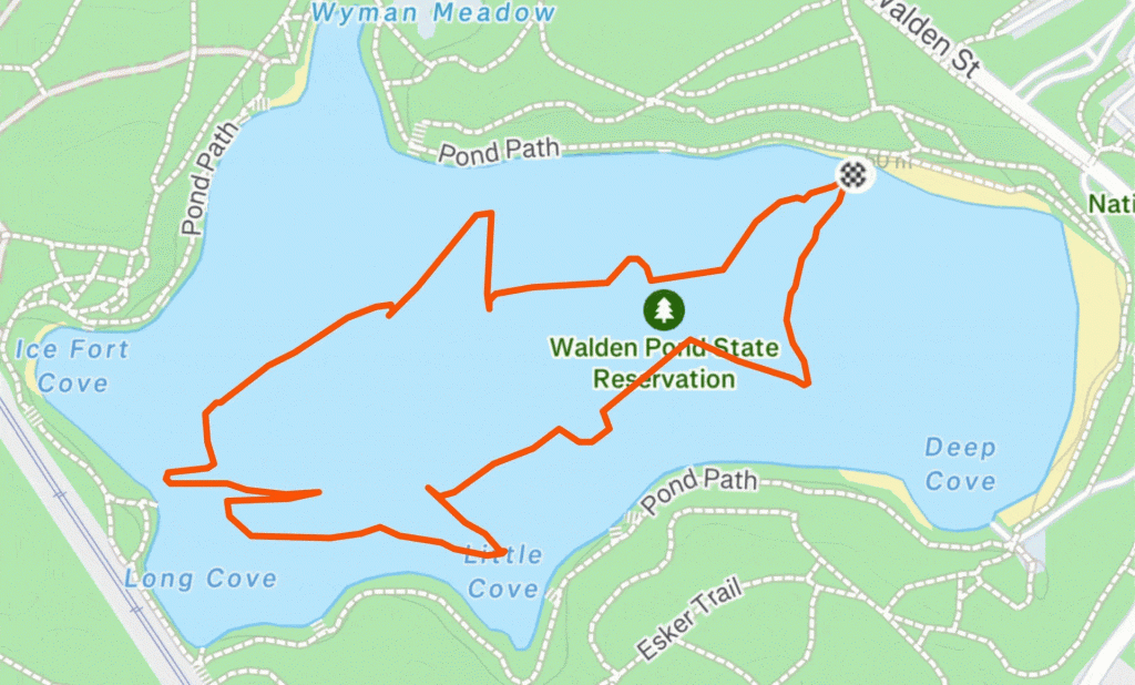 Strava Swimming Art