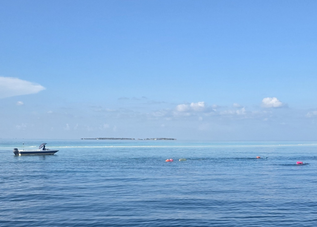 Your June 2026 Challenge: Swim Further