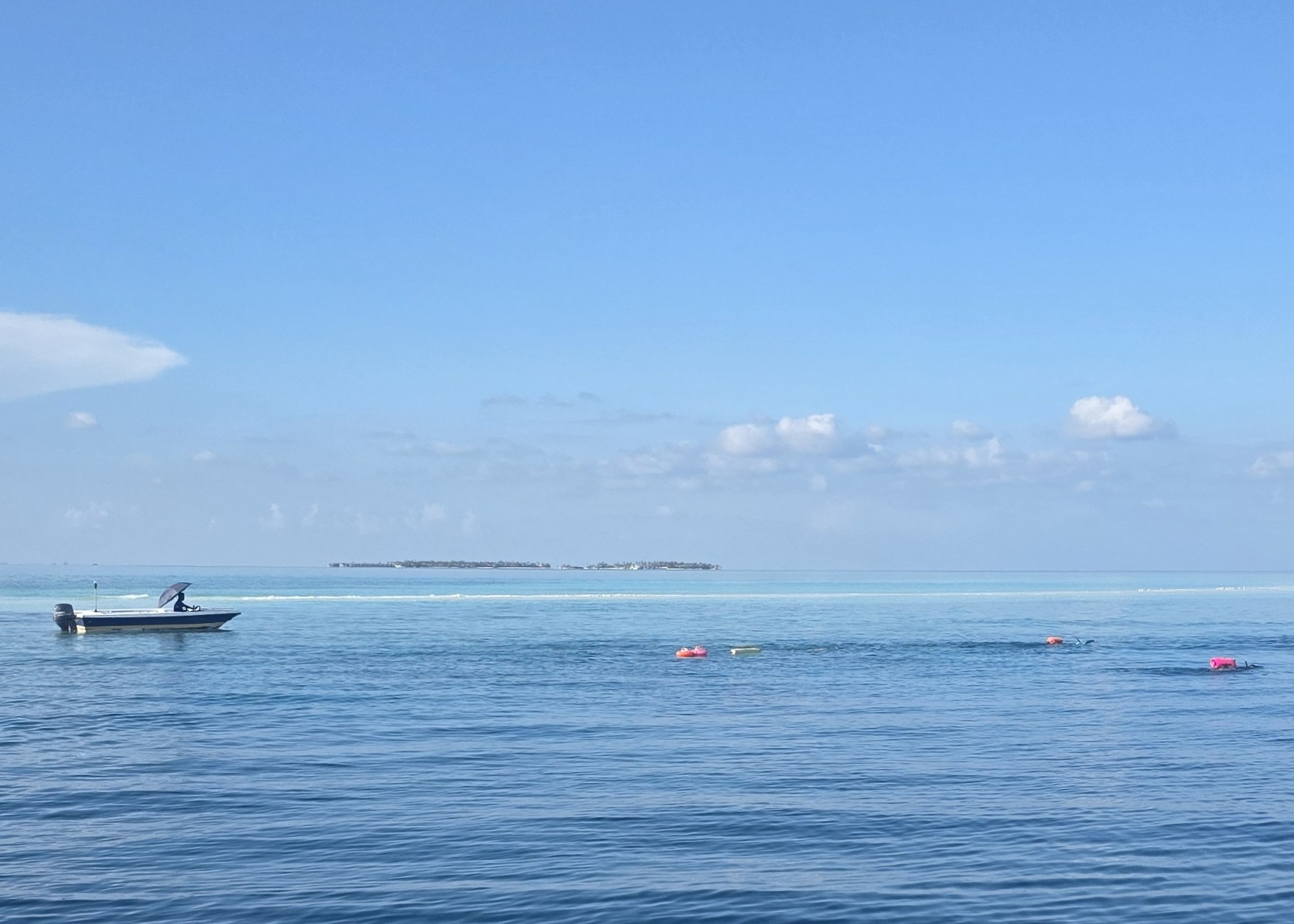 Maldives swimming